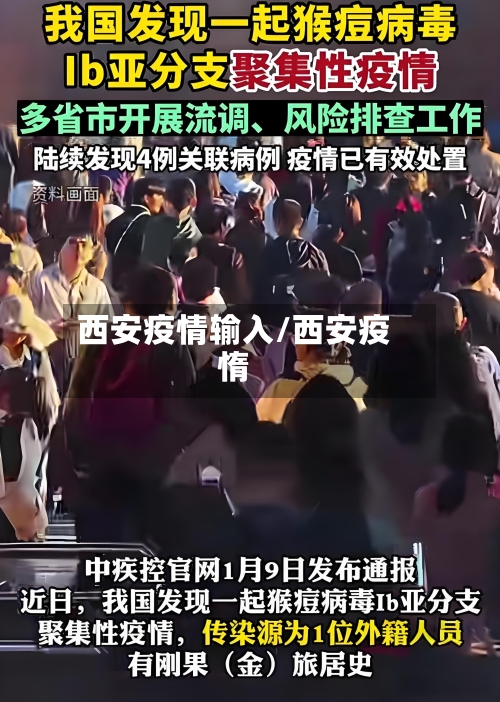 西安疫情输入/西安疫惰