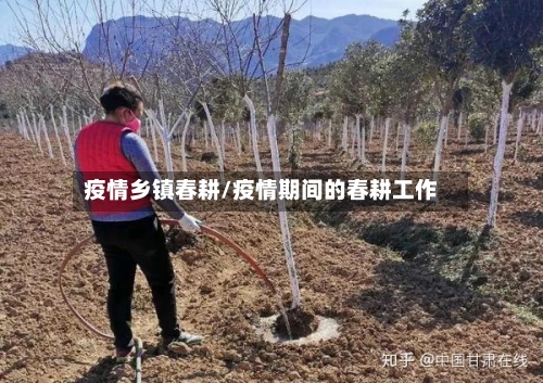 疫情乡镇春耕/疫情期间的春耕工作