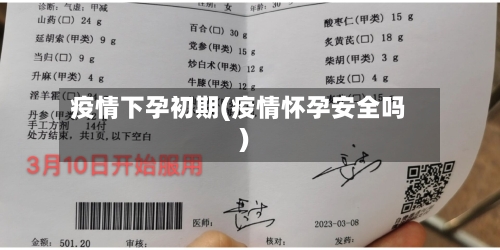疫情下孕初期(疫情怀孕安全吗)