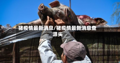 猪疫情最新消息/猪疫情最新消息查源头