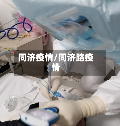 同济疫情/同济路疫情