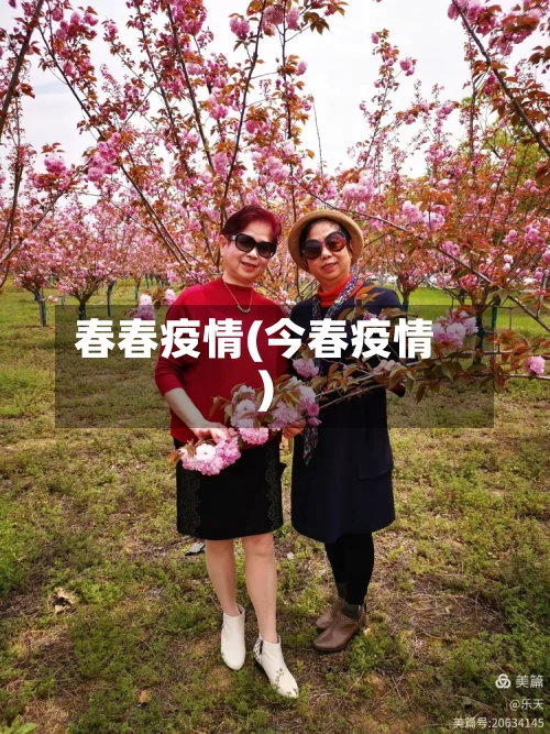 春春疫情(今春疫情)