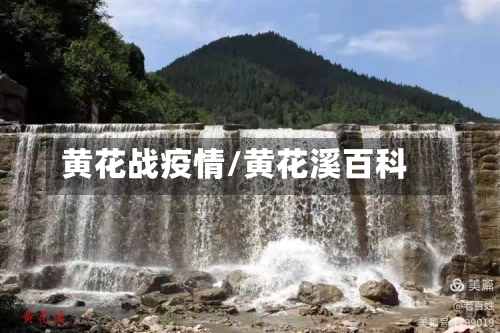 黄花战疫情/黄花溪百科