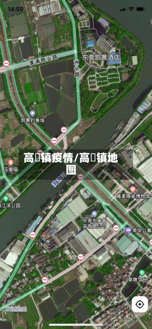 高埗镇疫情/高埗镇地图