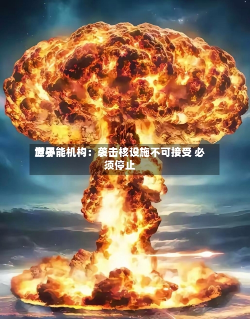 世界原子能机构：袭击核设施不可接受 必须停止