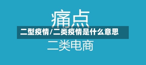 二型疫情/二类疫情是什么意思